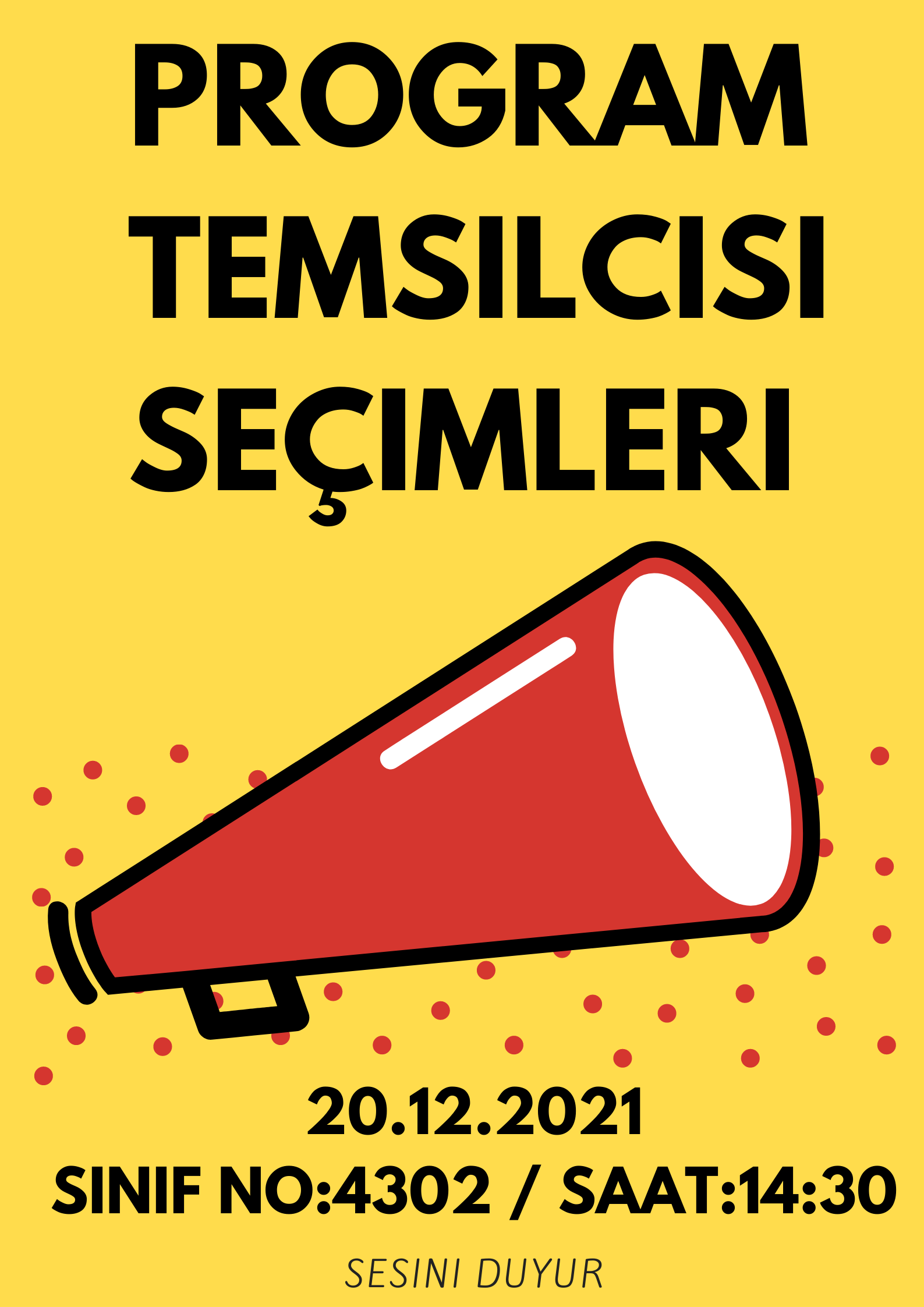 Program temsilcisi seçimleri (1).png (223 KB)